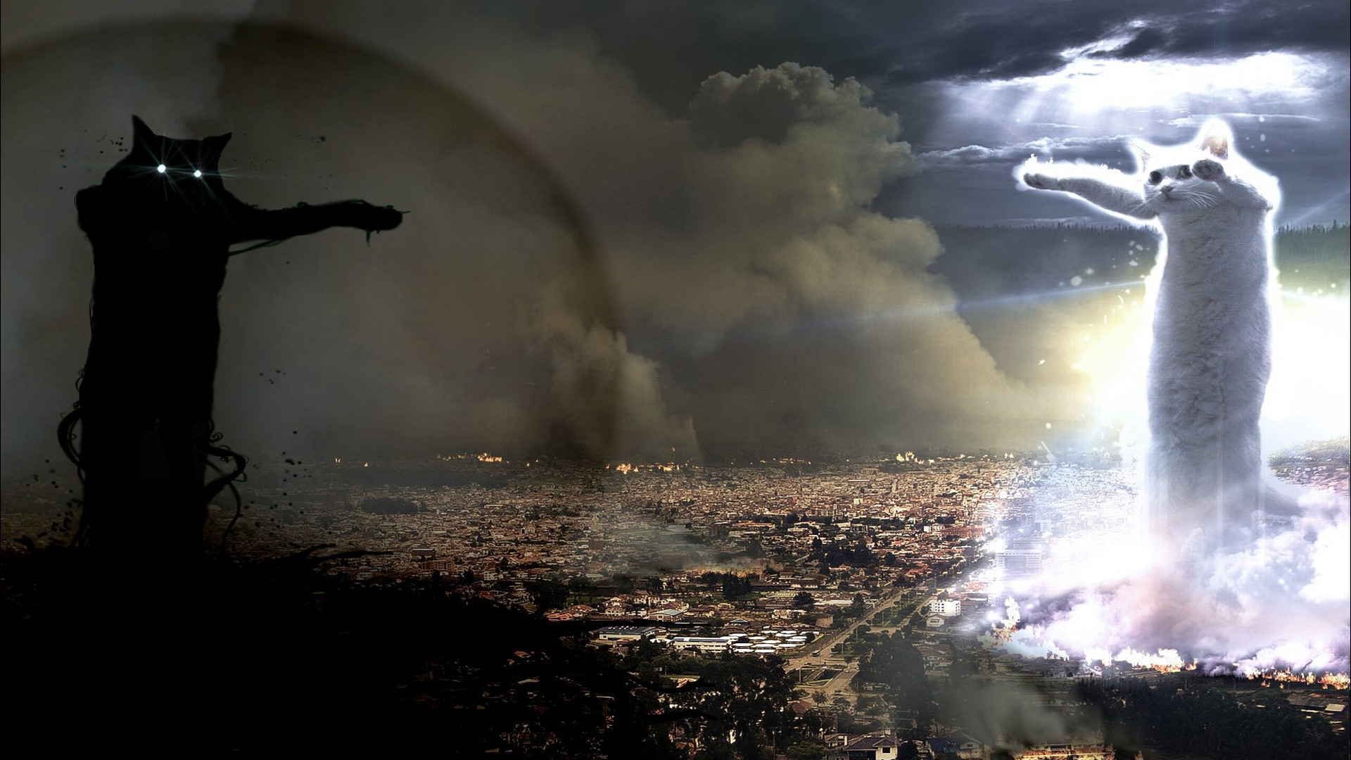 1920 x 1080 HD Wallpapers 1536